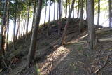 播磨 大山城の写真