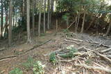 播磨 大山城の写真