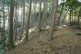 播磨 大山城の写真