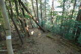 播磨 大山城の写真
