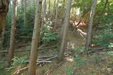 播磨 大山城の写真