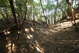 播磨 大山城の写真