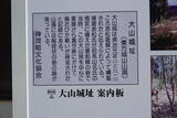 播磨 大山城の写真