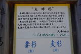 播磨 大山城の写真
