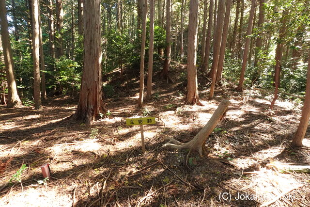 播磨 大山城南小城の写真