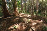 播磨 大山城南小城の写真
