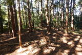 播磨 大山城南小城の写真