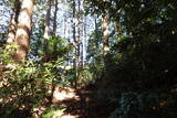播磨 大山城南小城の写真