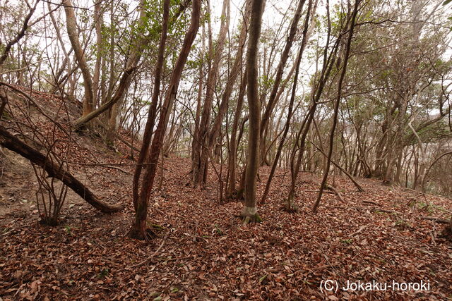 播磨 乙城の写真