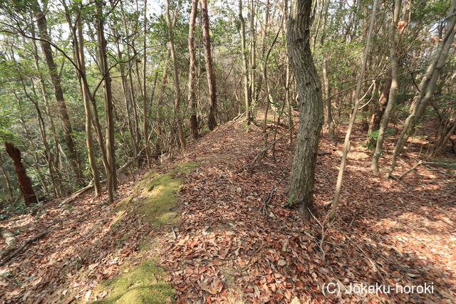 播磨 淡河城西付城の写真