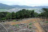 播磨 篠の丸城の写真