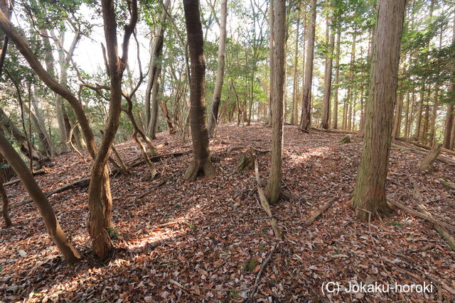 播磨 比丘尼砦(佐用町)の写真