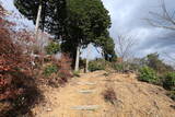 播磨 瀬加山城の写真