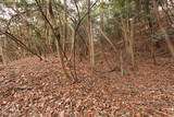 播磨 天神山城(加古川市)の写真