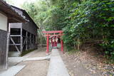 播磨 下津橋城の写真