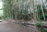 播磨 下津橋城の写真