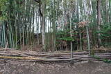播磨 下津橋城の写真