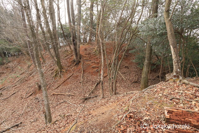 播磨 高倉山城の写真