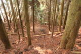 播磨 高倉山城の写真