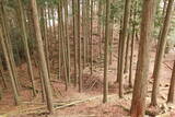 播磨 高倉山城の写真
