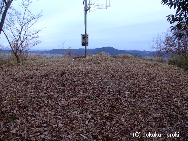 播磨 田野城の写真