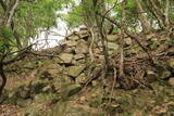 播磨 楯岩城の写真