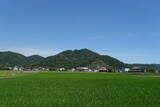 播磨 楯岩城の写真