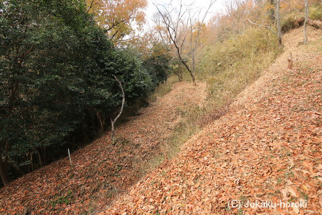 播磨 恒屋城の写真