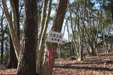 播磨 有年山城(八幡山城)の写真