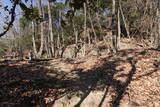 播磨 有年山城(八幡山城)の写真