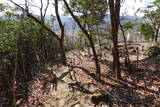 播磨 有年山城(八幡山城)の写真