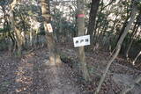 播磨 有年山城(八幡山城)の写真