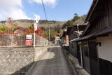 播磨 有年山城(八幡山城)の写真