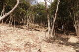 播磨 有年山城(八幡山城)の写真