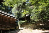 播磨 有年山城(八幡山城)の写真