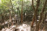 播磨 有年山城(八幡山城)の写真