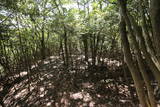 播磨 有年山城(八幡山城)の写真