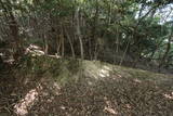 播磨 有年山城(八幡山城)の写真