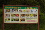 播磨 空木城の写真
