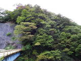 飛騨 土城の写真