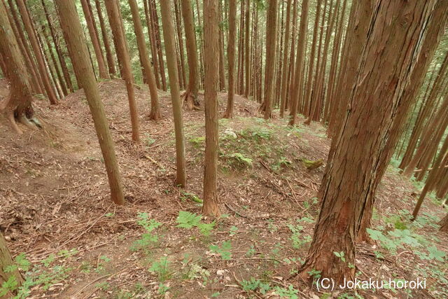 飛騨 広瀬城の写真