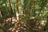 飛騨 広瀬城の写真
