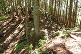 飛騨 広瀬城の写真