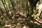 飛騨 広瀬城の写真
