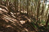 飛騨 広瀬城の写真