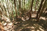 飛騨 広瀬城の写真