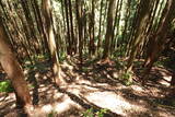 飛騨 広瀬城の写真