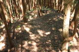 飛騨 広瀬城の写真