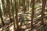 飛騨 広瀬城の写真