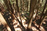 飛騨 広瀬城の写真